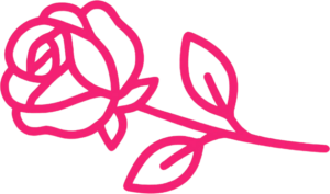 Generate _Минималистична икона на роза дамасцена (Damask rose) в цвят #FF359C, легнала хоризонтално, прост дизайн, чисти линии, графичен стил, розат…