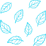 Mint_leaves